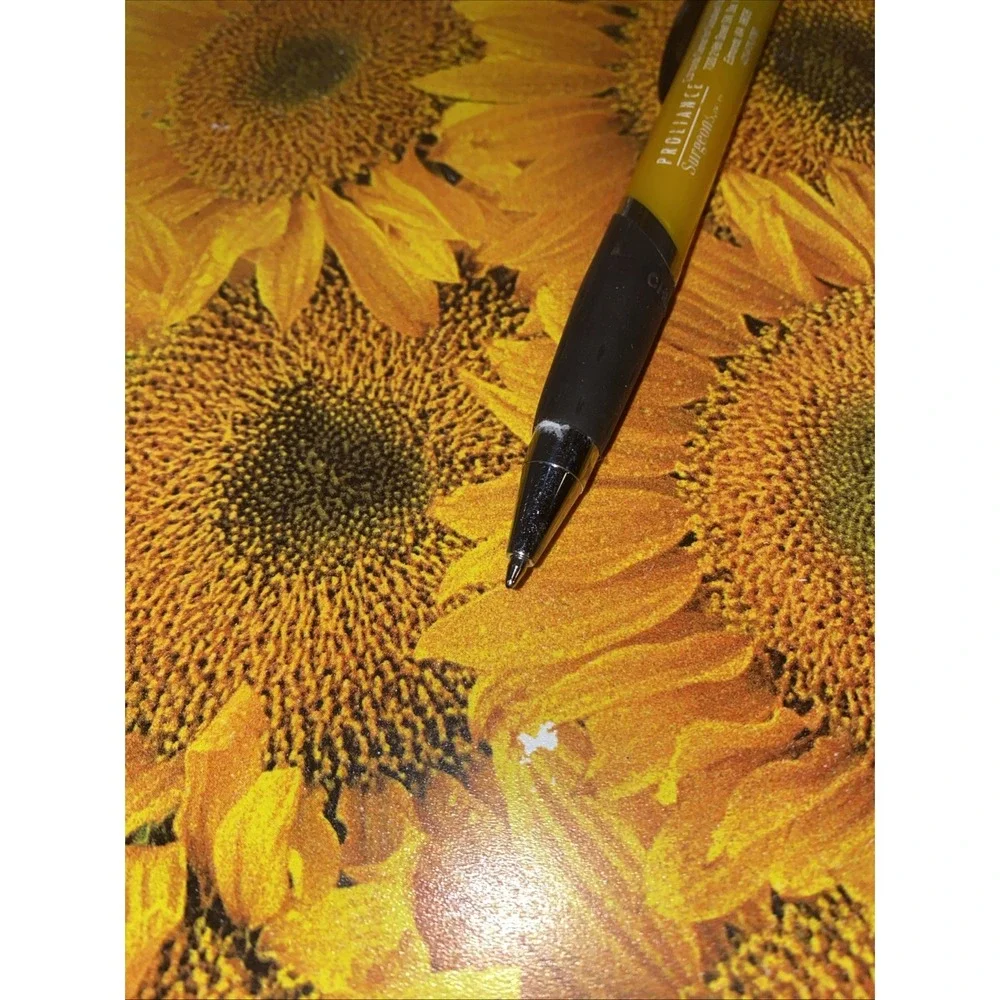 Sunflower Placemats Set of 4 Vinyl Summer Fall‎